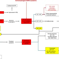 Schemat diagnostyczny GERD z podziałem na objawy typowe i pozaprzełykowe.