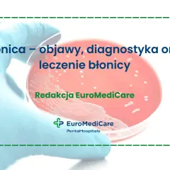 Ręka w rękawiczce trzyma szalkę Petriego z kulturą bakteryjną.