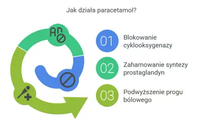 Grafika wyjaśnia, jak działa paracetamol: blokuje cyklooksygenazę, hamuje syntezę prostaglandyn i podwyższa próg bólowy. Czy paracetamol jest bezpieczny? Zależy od dawki.