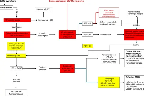 Schemat diagnostyczny GERD z podziałem na objawy typowe i pozaprzełykowe.