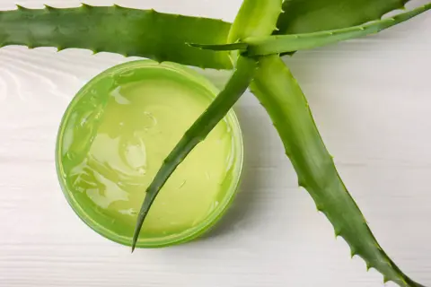 Żel aloesowy w zielonym słoiczku, obok świeżych liści aloesu. Idealny aloes na oparzenia i do pielęgnacji skóry.