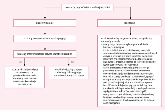 Schemat postępowania przy opóźnieniach szczepień, uwzględniający przeciwwskazania i zaniedbania. Analiza wskazań do szczepień, w tym przeciwko chorobom zagrażającym życiu, jak np. te dotyczące śledziony.