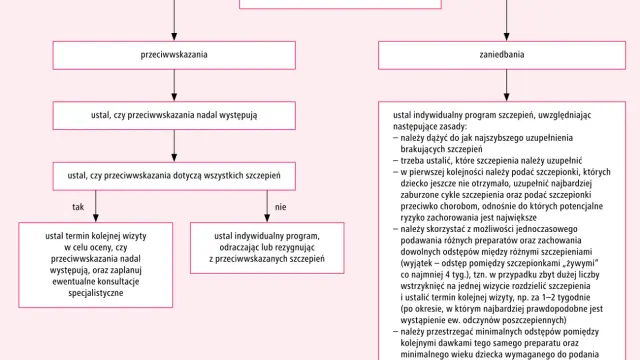 Schemat postępowania przy opóźnieniach szczepień, uwzględniający przeciwwskazania i zaniedbania. Analiza wskazań do szczepień, w tym przeciwko chorobom zagrażającym życiu, jak np. te dotyczące śledziony.