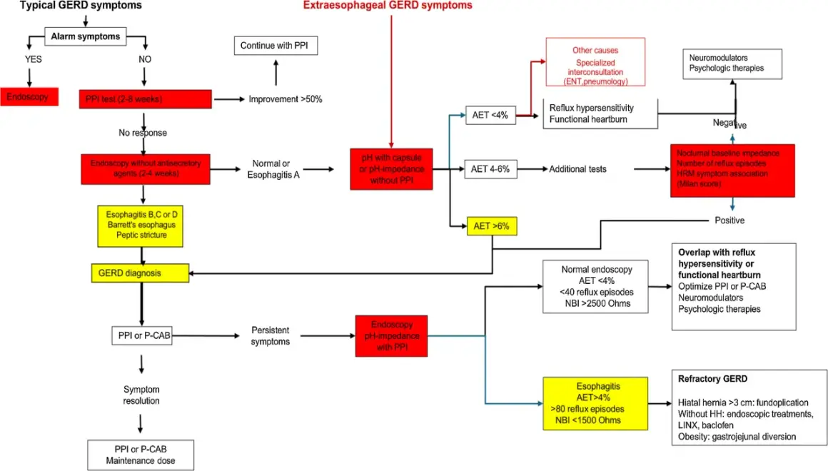 Schemat diagnostyczny GERD z podziałem na objawy typowe i pozaprzełykowe.