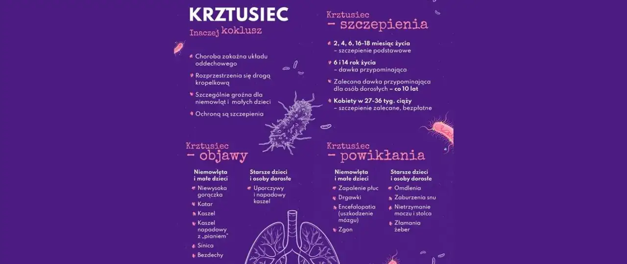 Krztusiec to choroba zakaźna układu oddechowego, groźna dla niemowląt. Chronią przed nią szczepienia.