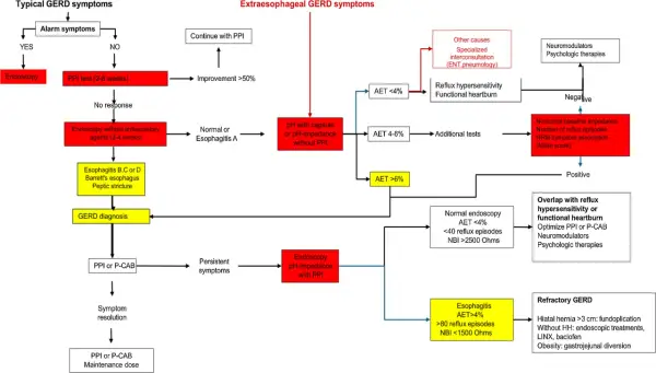 Schemat diagnostyczny GERD z podziałem na objawy typowe i pozaprzełykowe.